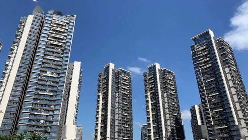 優(yōu)化租房積分入學政策 深圳住建局發(fā)布最新措施并公開征求意見